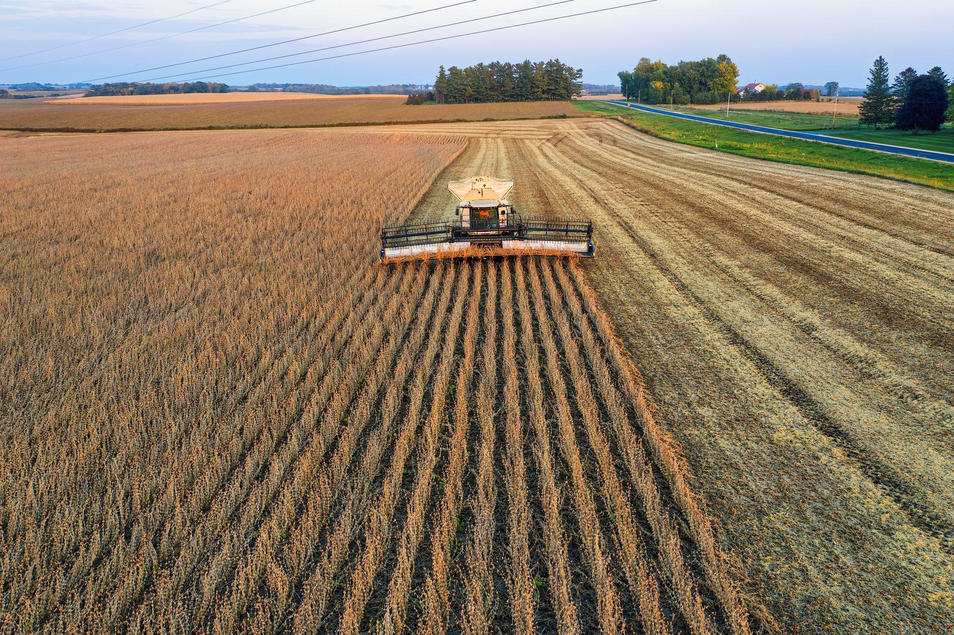 Cosechadora trabajando en un lote de soja, vista desde un dron