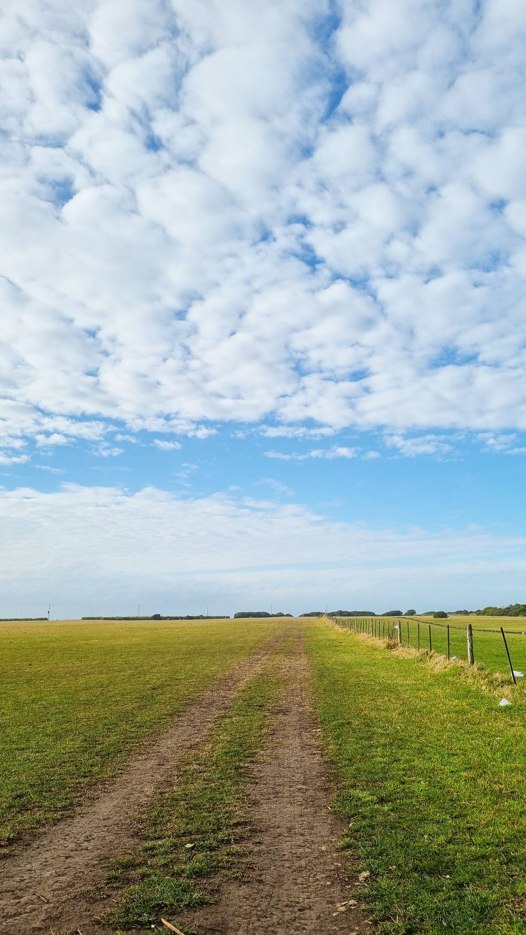 Llanura abierta bajo un cielo con nubes