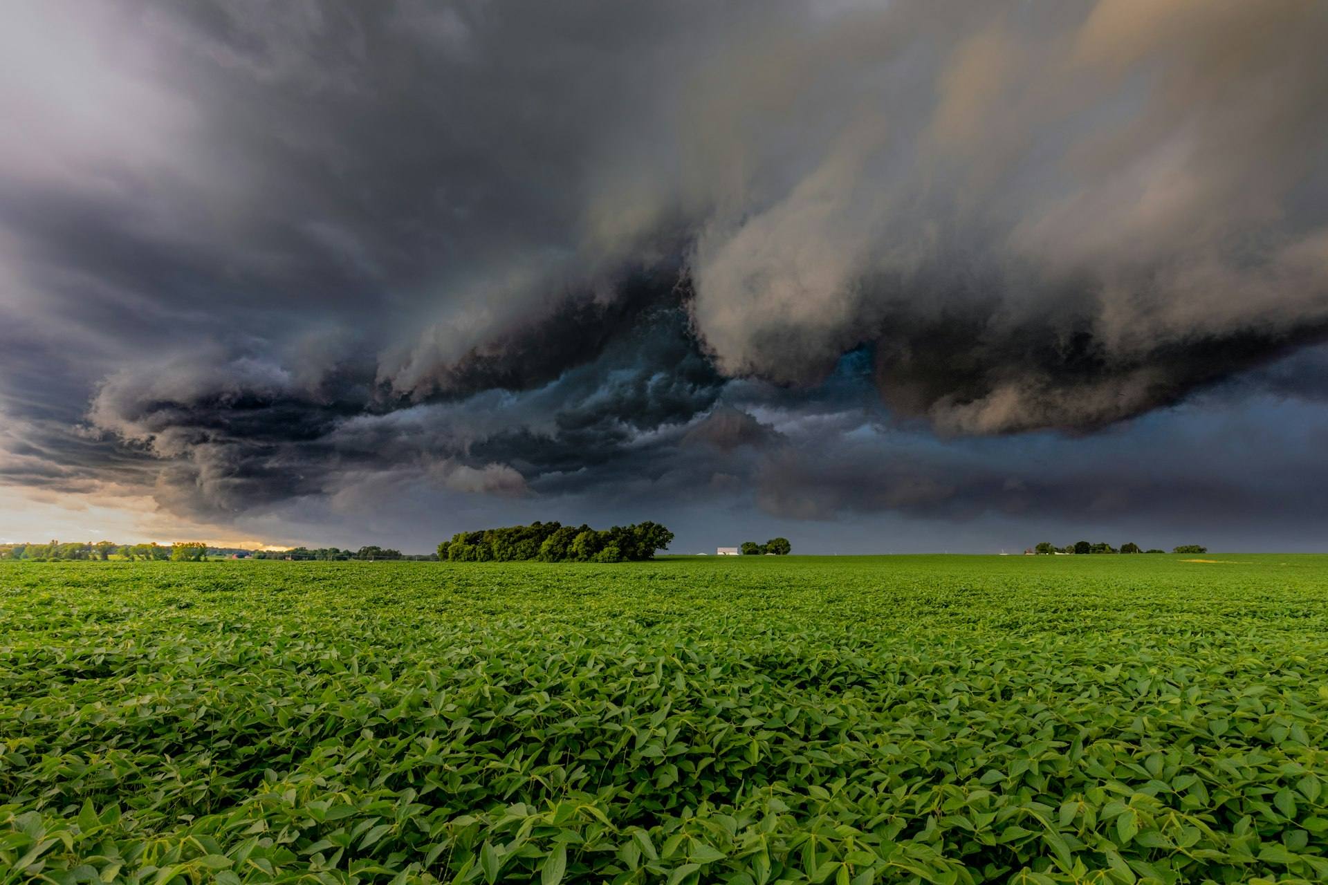 Nube de tormenta oscura sobre un cultivo verde extenso