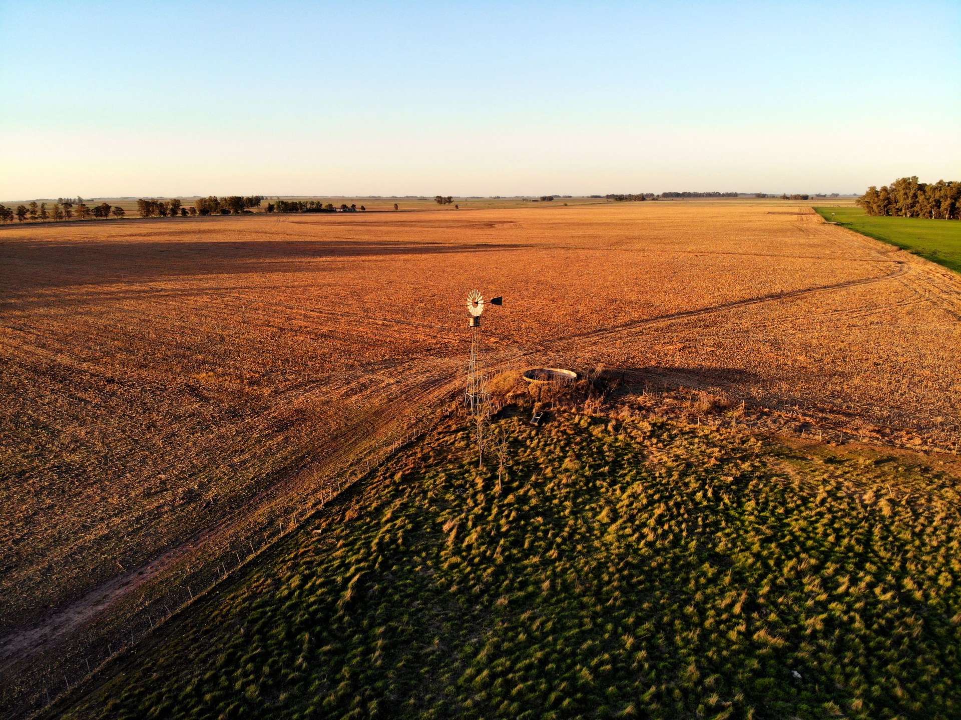 Campo abierto a la hora dorada